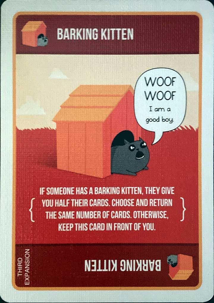 Barking Kittens