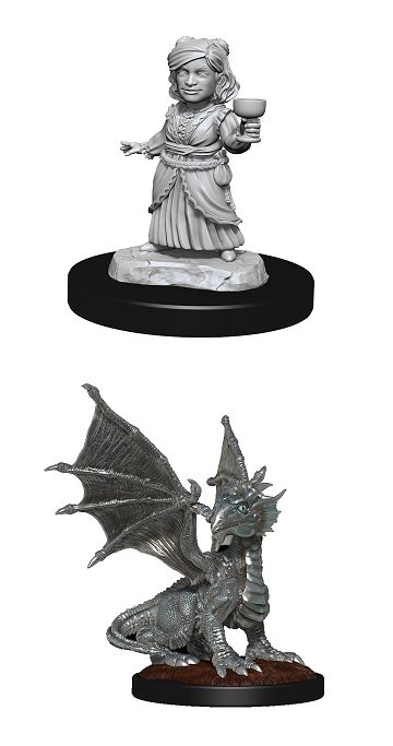 Nolzur's Silver Dragon Wyrmling &amp; Halfling Dragon Friend