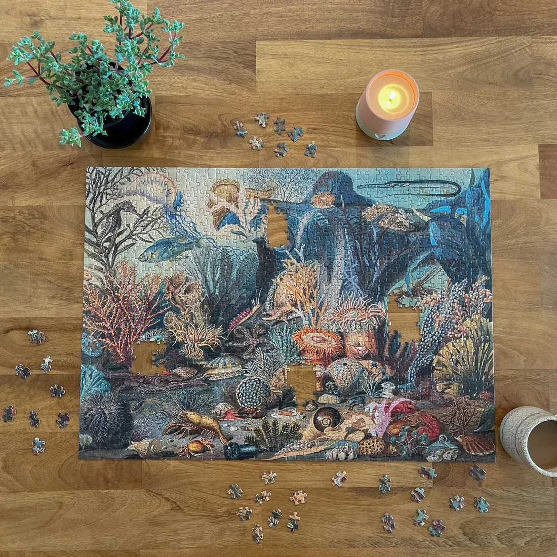Ecologies Ocean Life Puzzle: Hidden Habitat