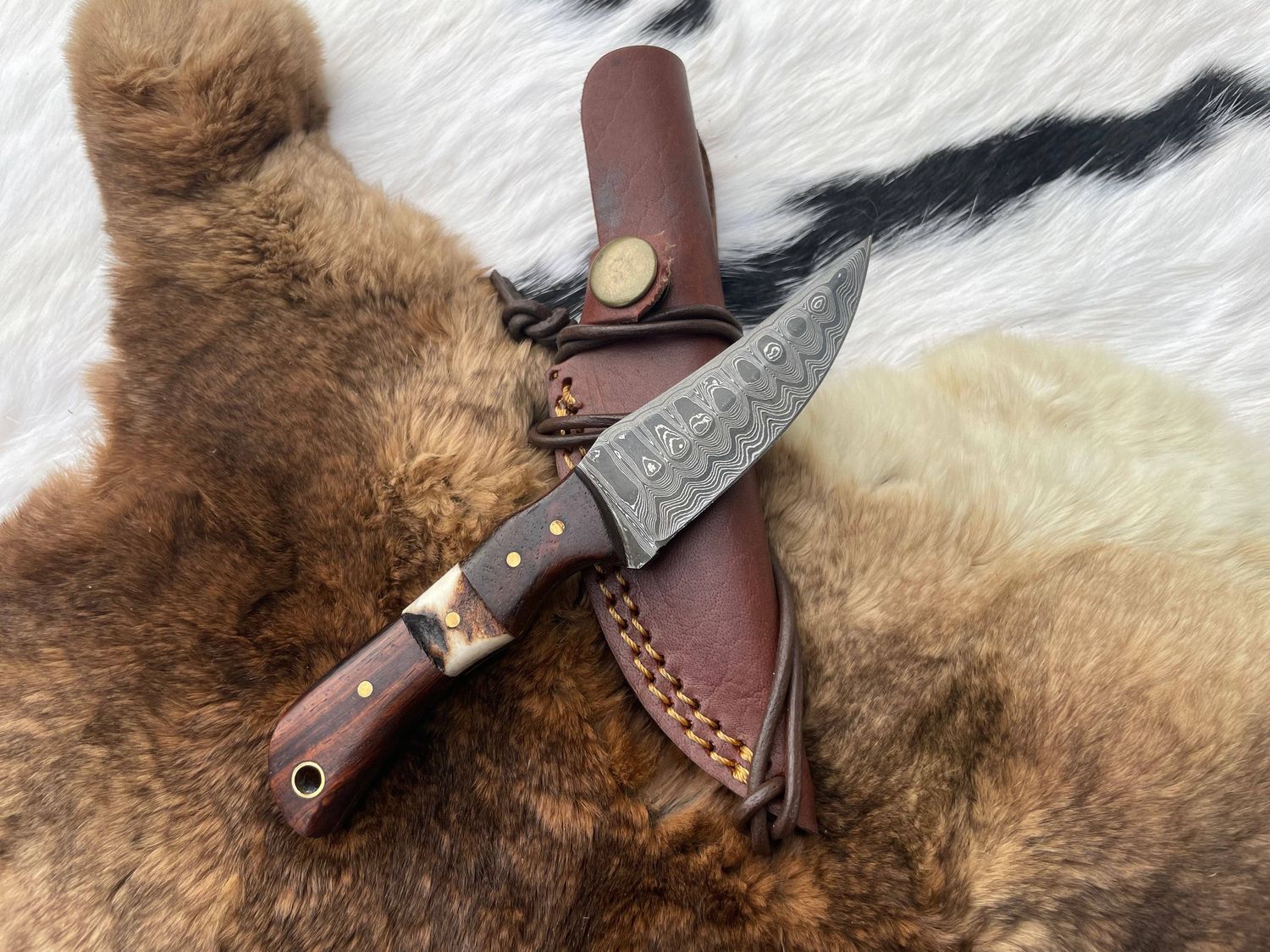 Introducing the Titan TK-060 Damascus Steel Skinner Knife with Rosewood &amp; Stag Grip