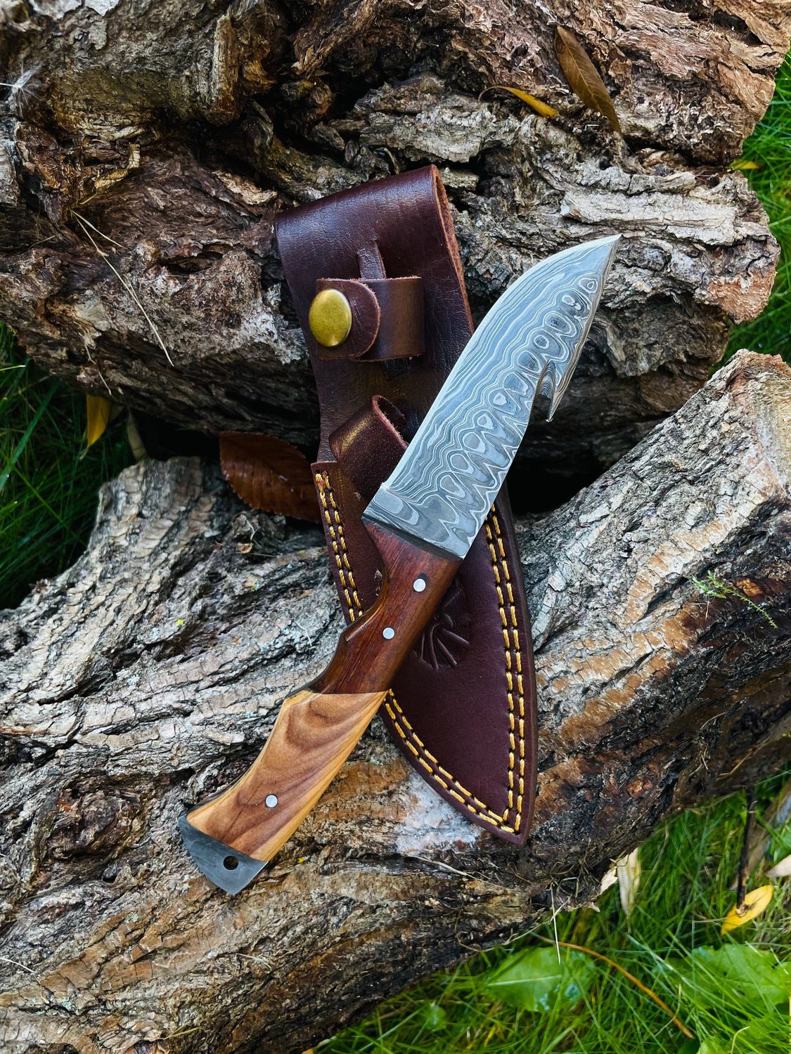 Titan International - Damascus Steel Guthook Skinning Knife TK-056