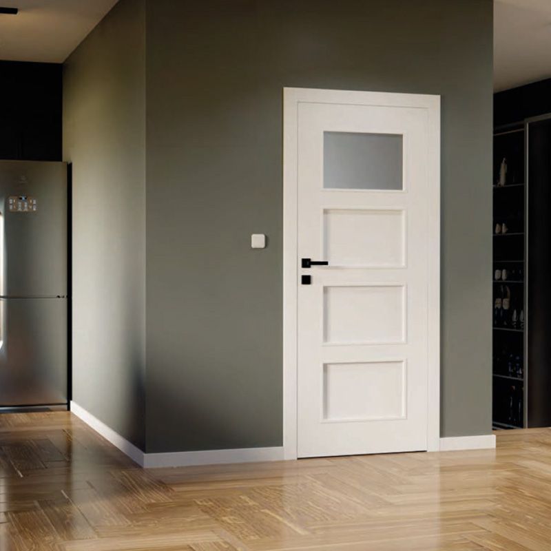 Modern Door