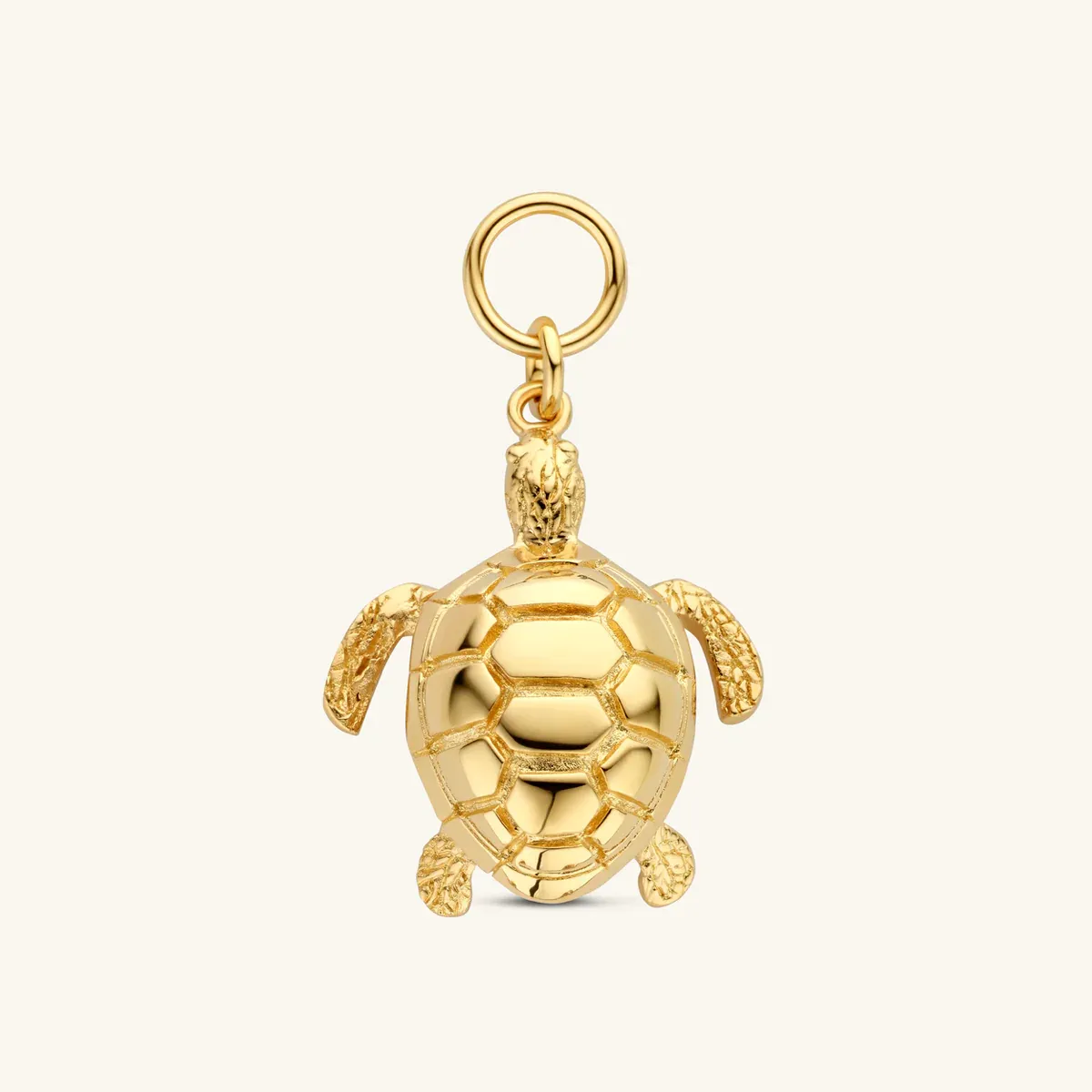 The Finds Bedel Maxima Klein