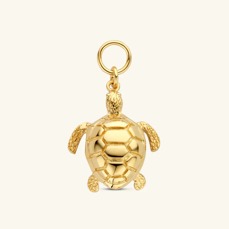 The Finds Bedel Maxima Klein