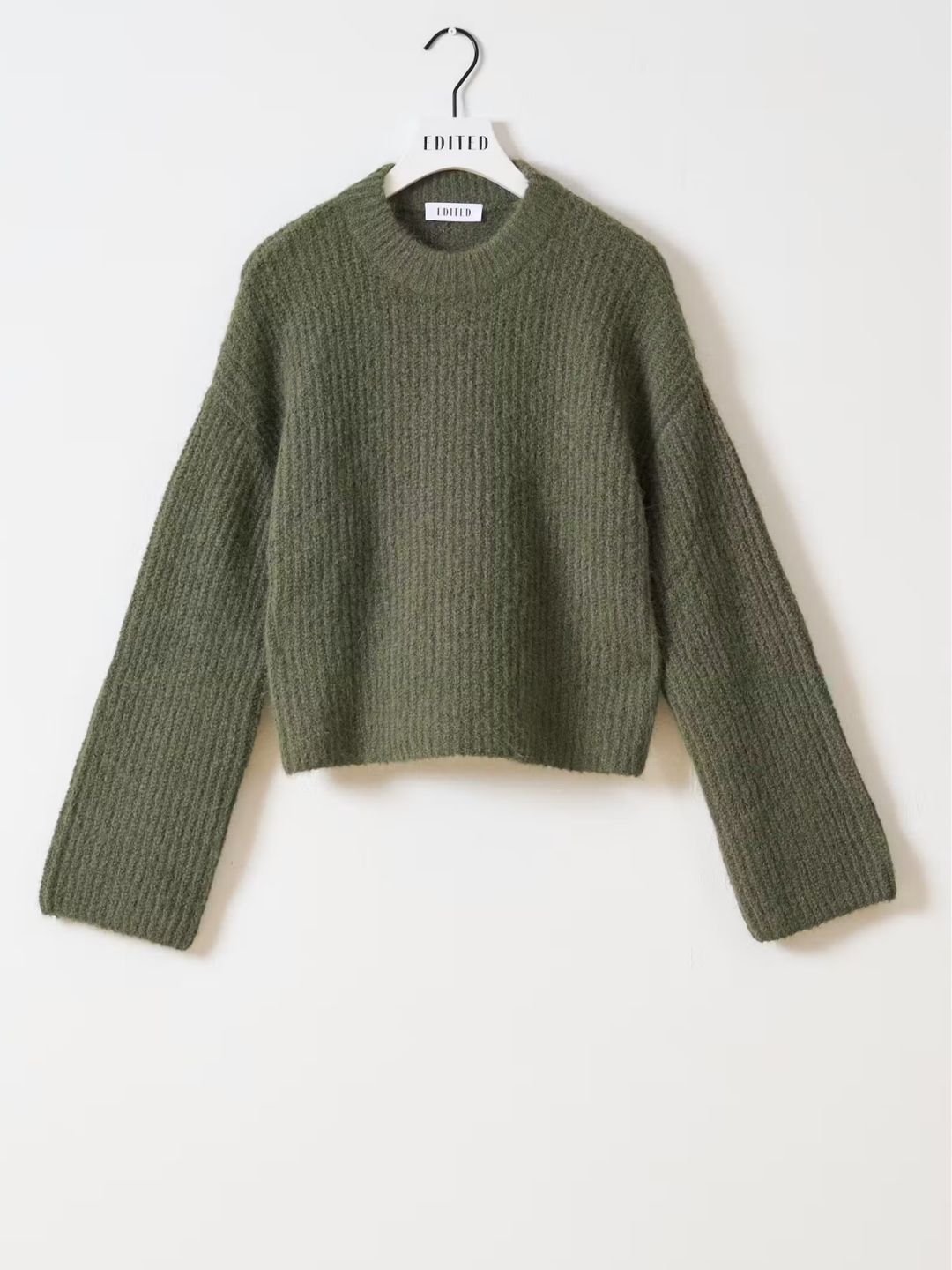 EDITED Salome Jumper Beetle