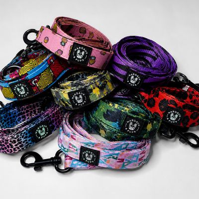 Leads