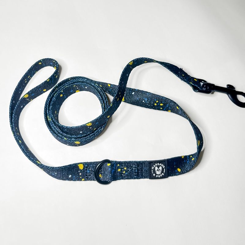 Blue Galaxy Lead