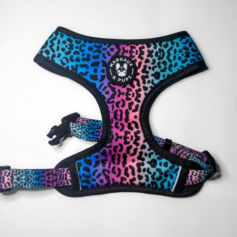 Rainbow Leopard Fixed Harness