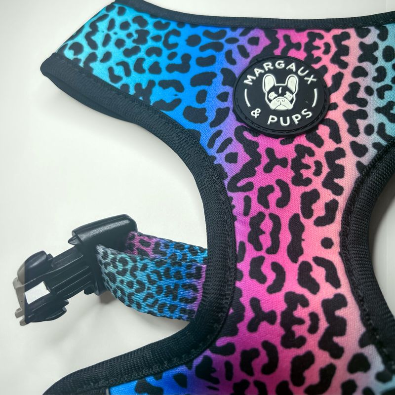 Rainbow Leopard Fixed Harness
