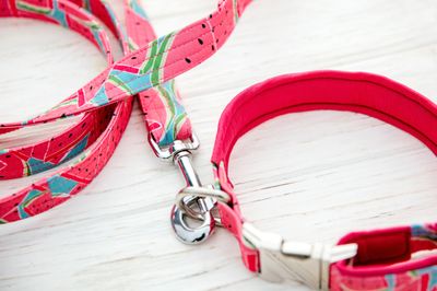 Crazy Cupcake Padded Lead