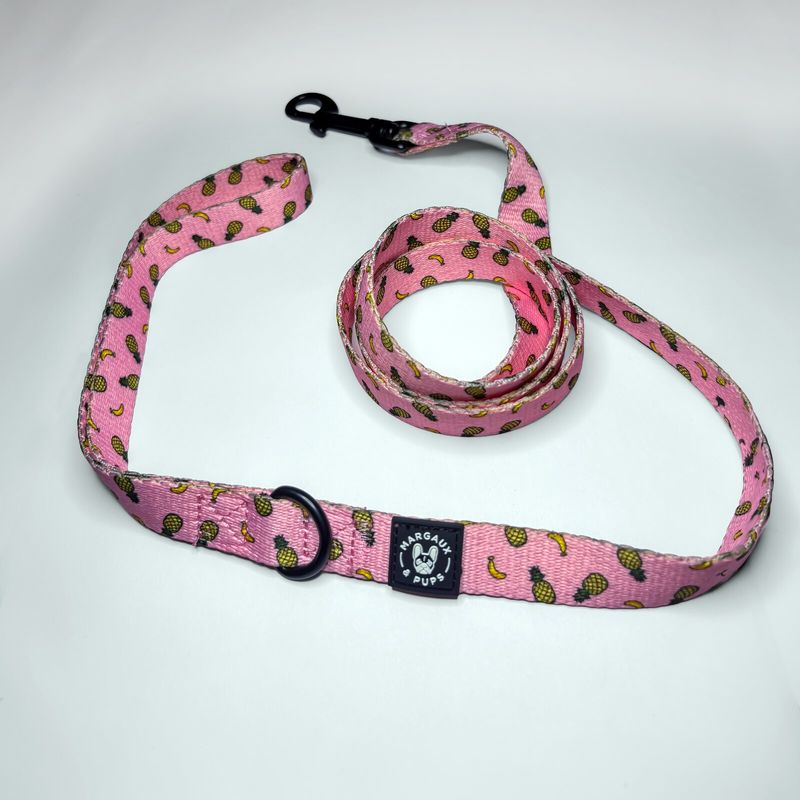 Funky Fruit Lead