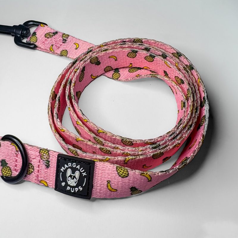 Funky Fruit Lead