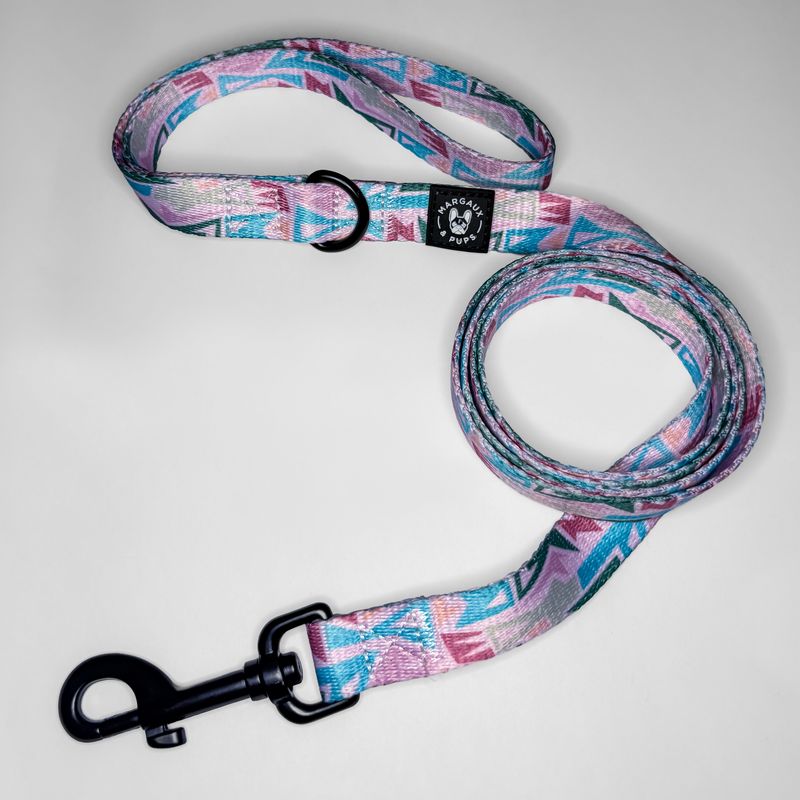 Pastel Pop Lead