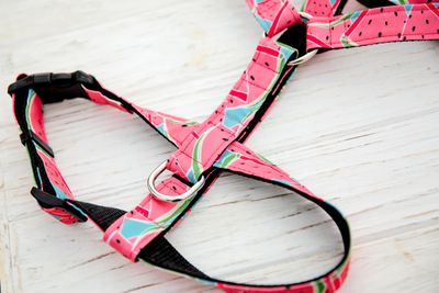 Blue Galaxy Fixed Harness