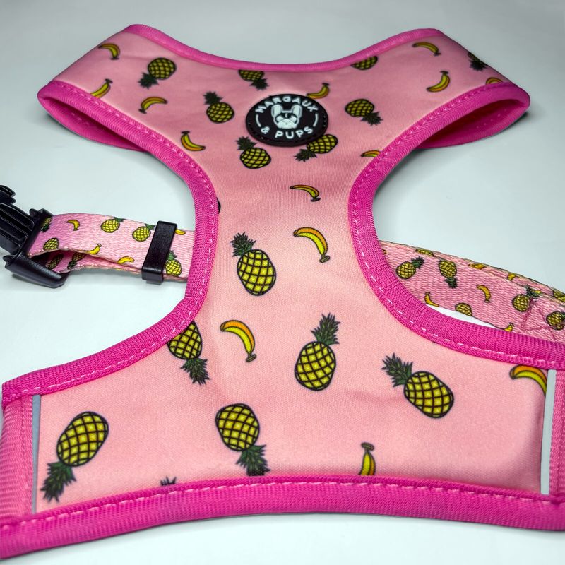 Funky Fruit Fixed Harness
