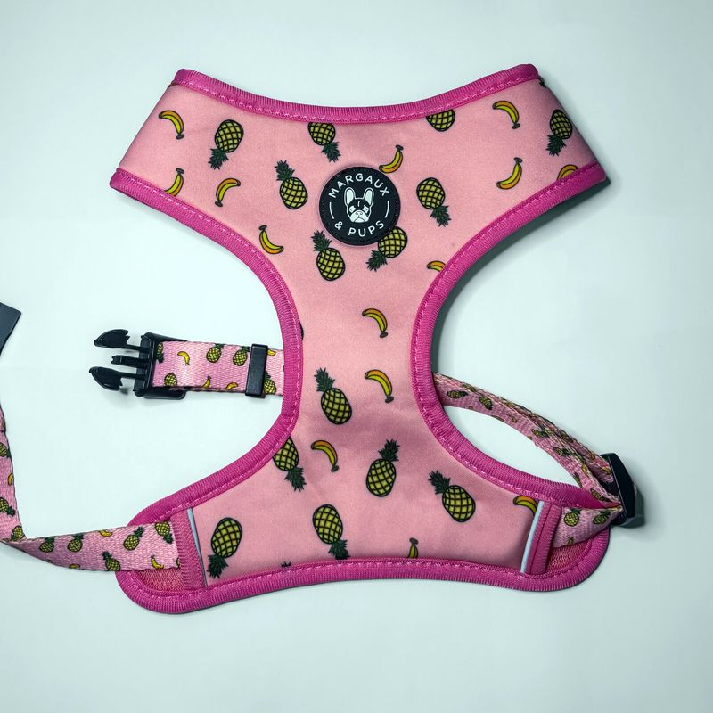 Funky Fruit Fixed Harness
