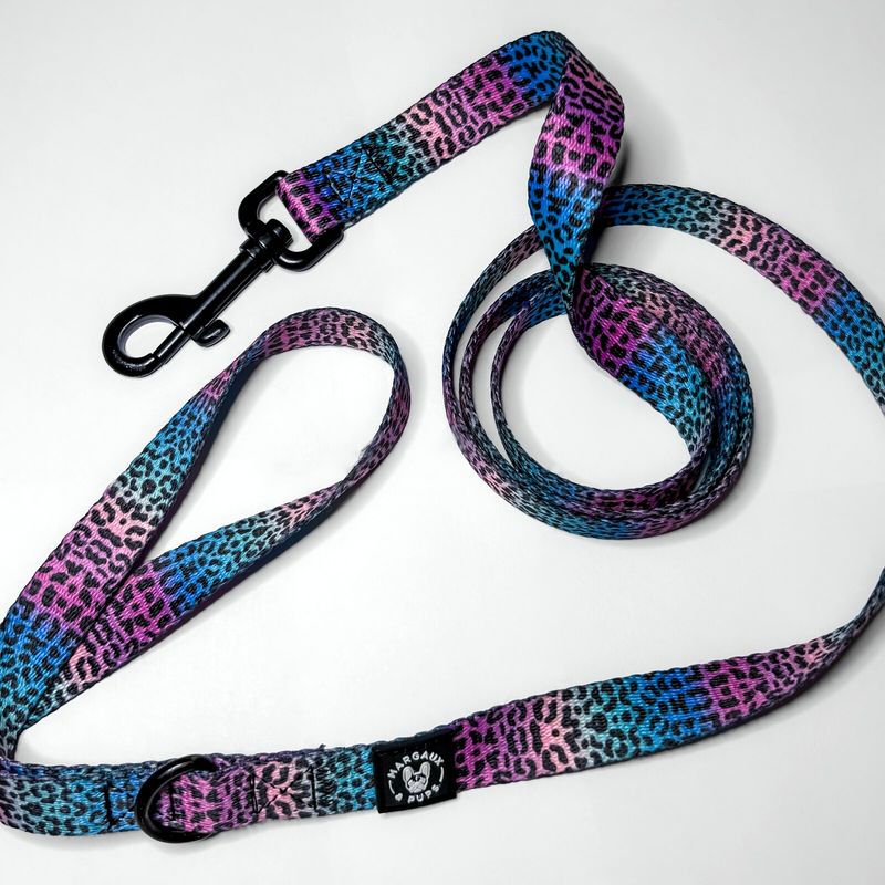 Rainbow Leopard Lead