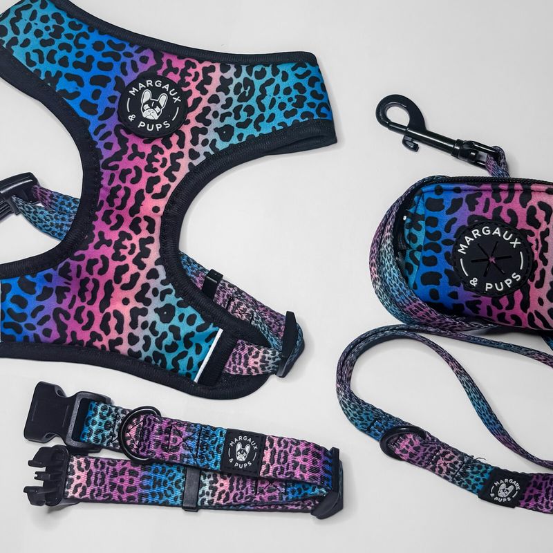 Rainbow Leopard Luxury Set