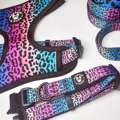 Rainbow Leopard Luxury set
