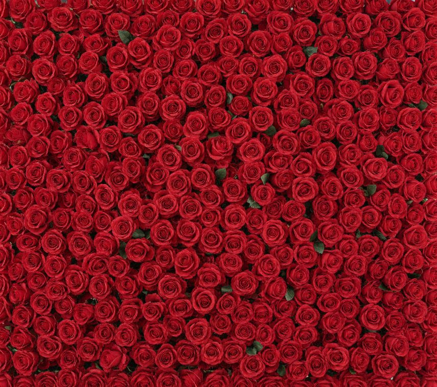 Decor Event Package - Birthstone Color Fresh Flower Wall