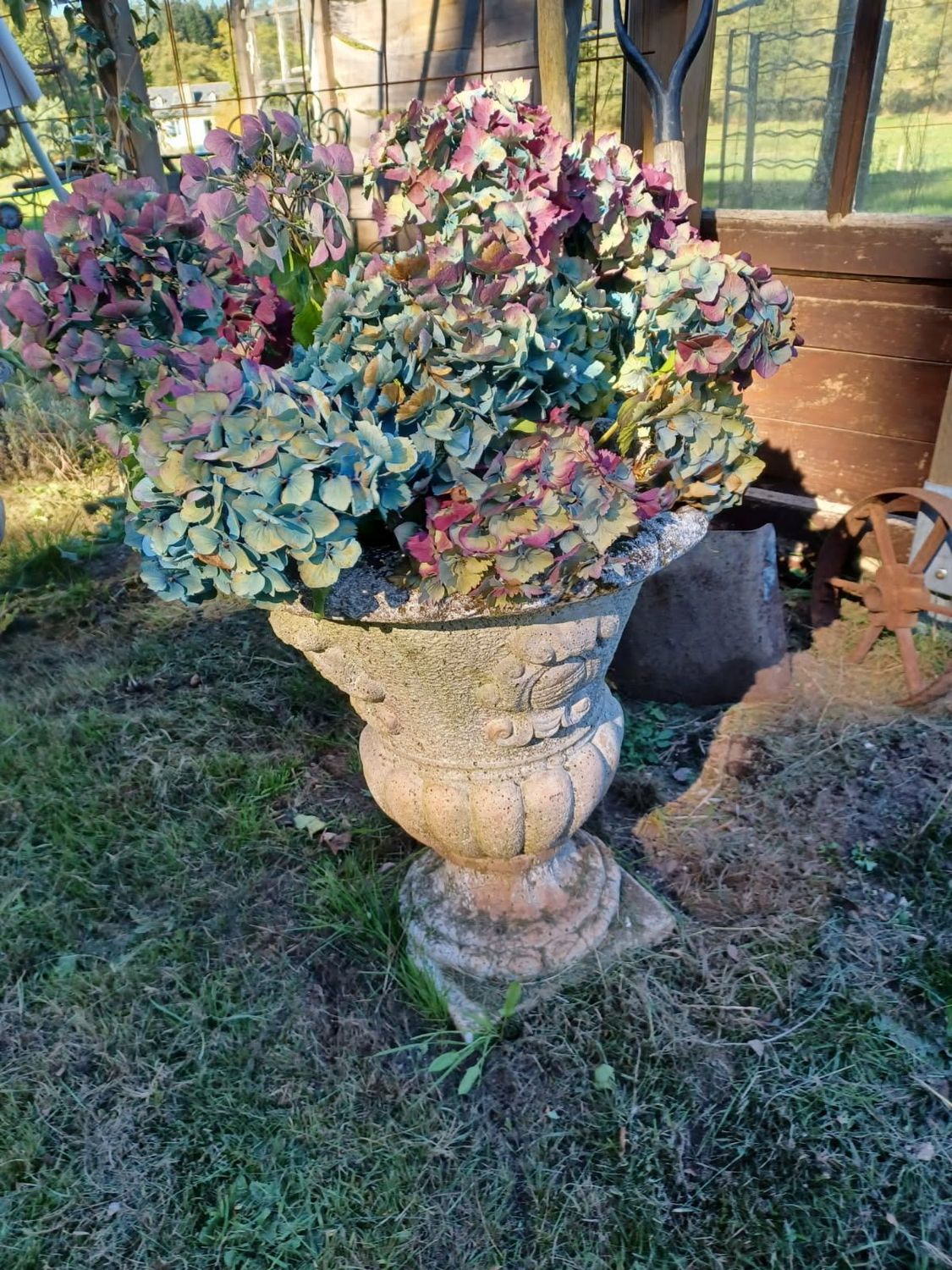 Trois Médicis en pierre reconstituées pris