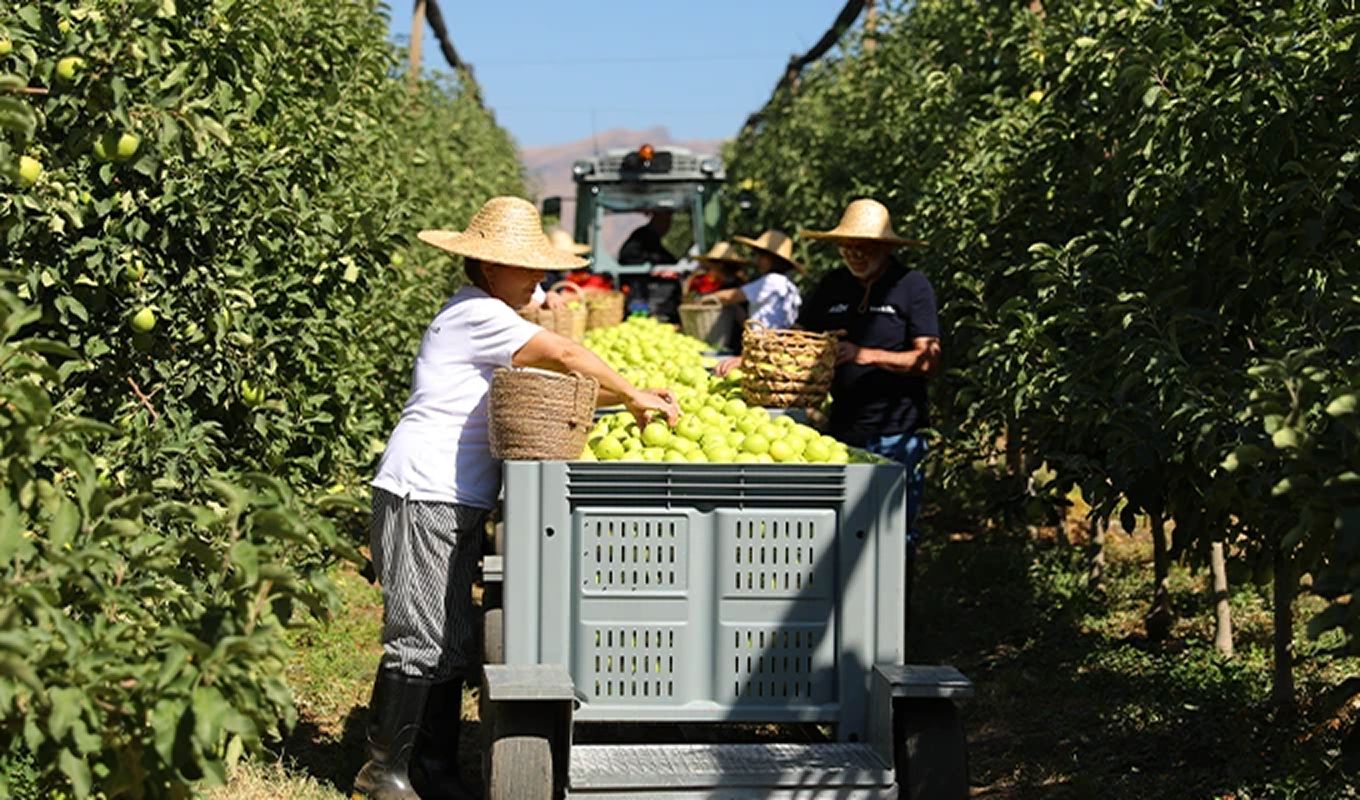 E-commerce Product Image