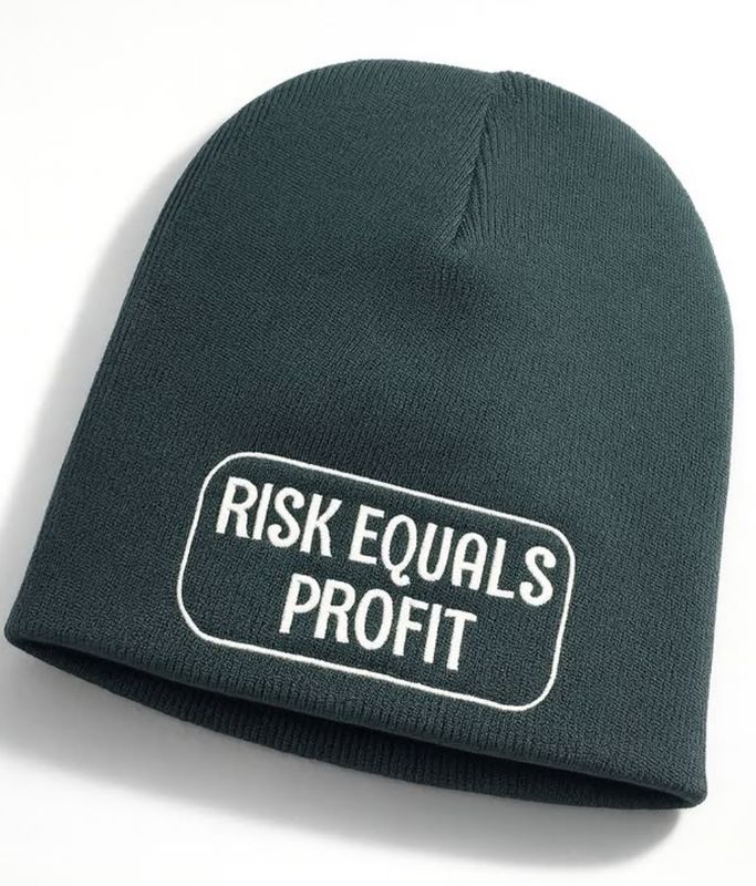 Risk Equals Profit Beanie