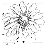 Stampotique - Kassa&#39;s Bloom (cling mount)