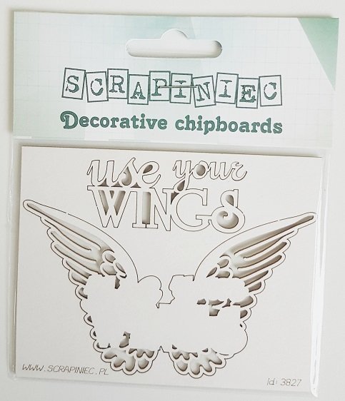 Use Your Wings