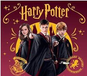 Harry Potter Mystery Box – Magic inside every box ✨