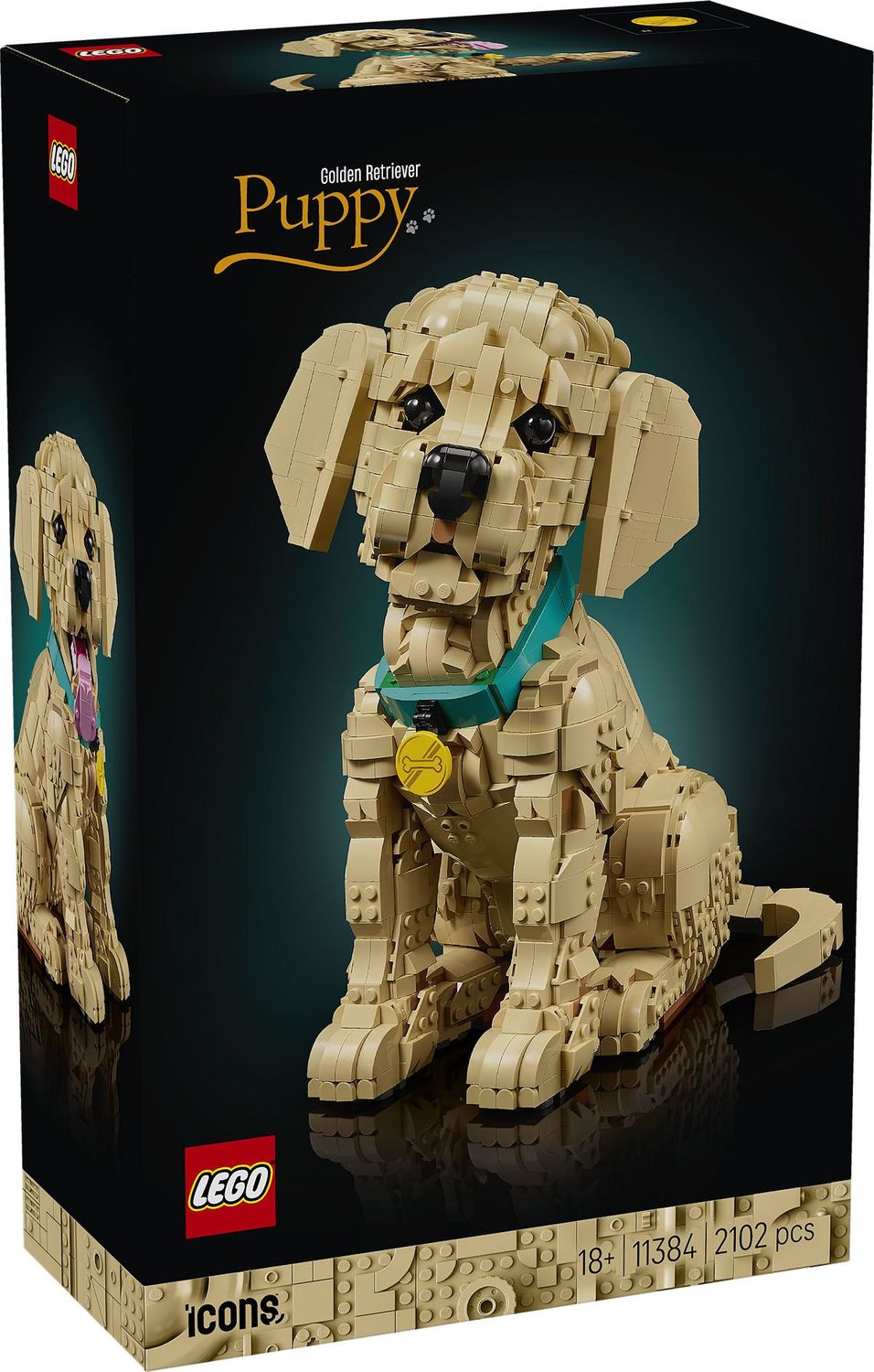 LEGO 11384 Icons Golden retriever puppy