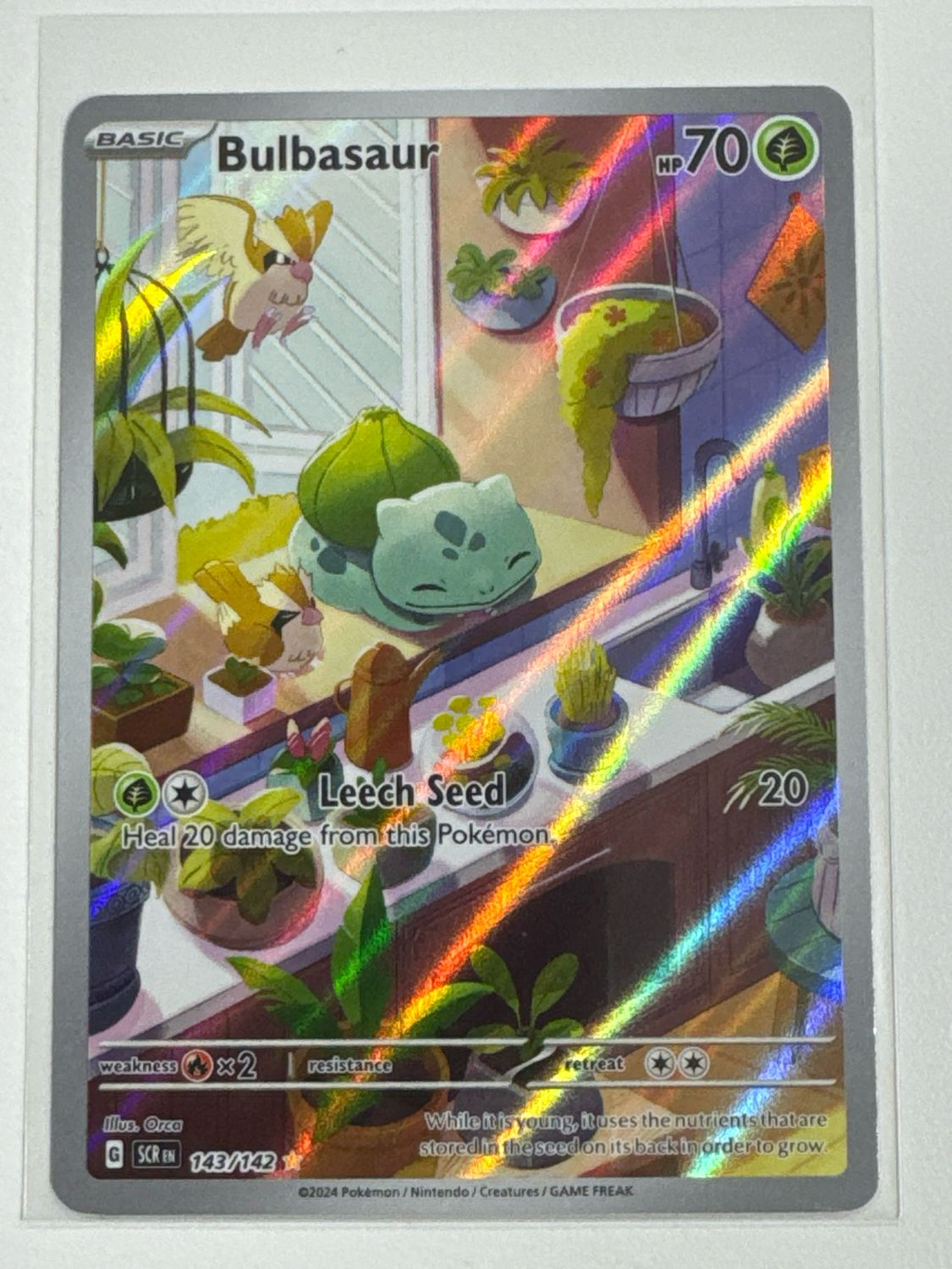 Pokemon TCG : Bulbasaur (SCR 143)