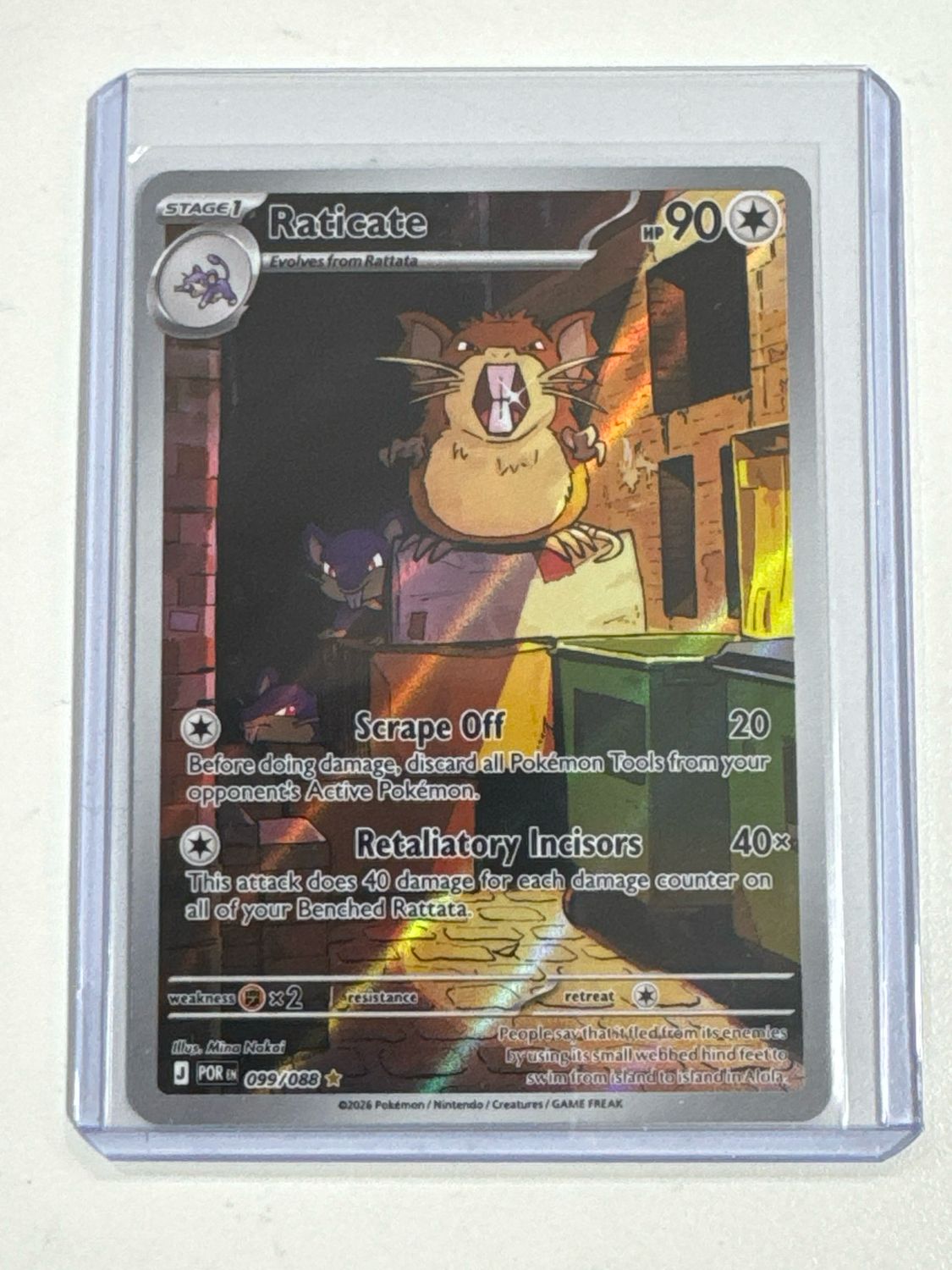 Pokemon TCG : Raticate (POR 099) NM