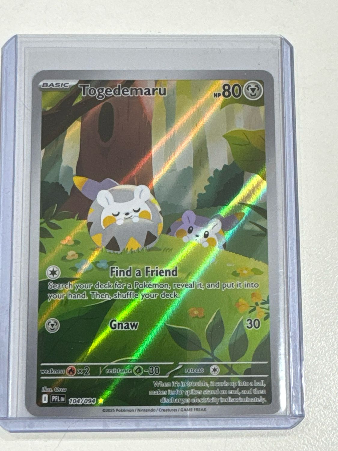 Pokemon TCG : Togedemaru (PFL 104)