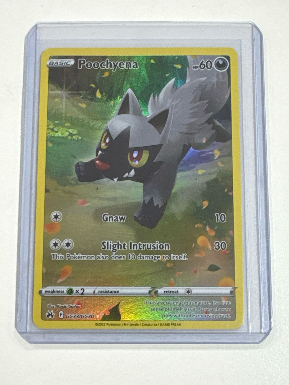 Pokemon TCG : Poochyena (CRZ GG33)