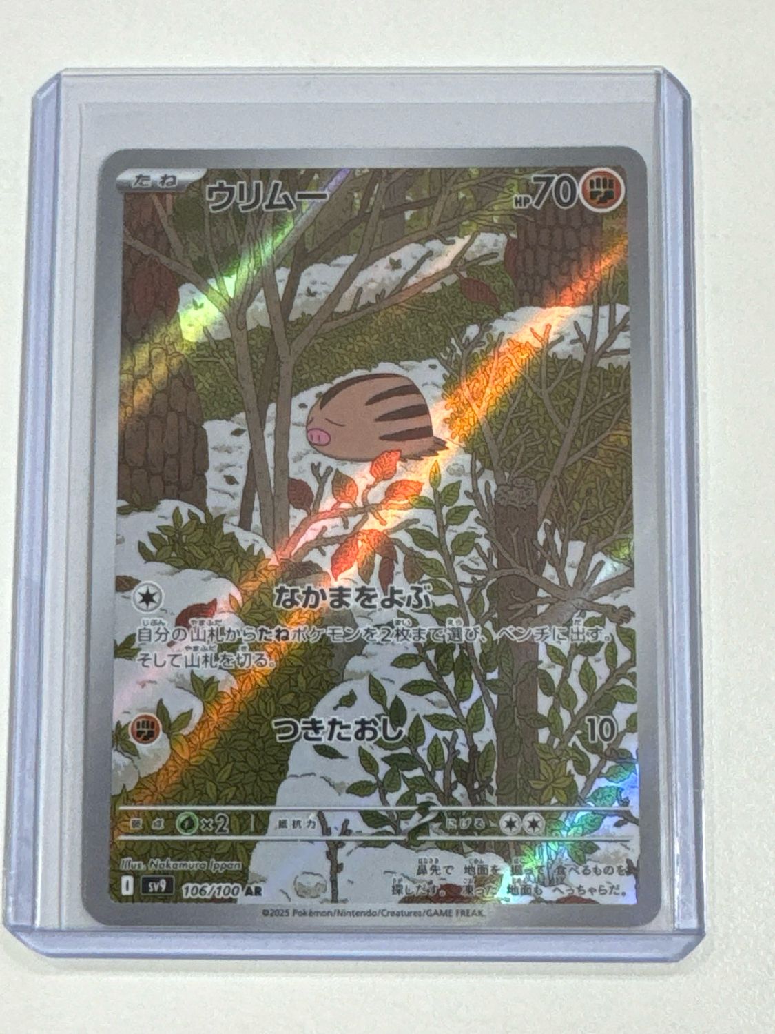 Pokemon TCG : Swinub (sv9 106)