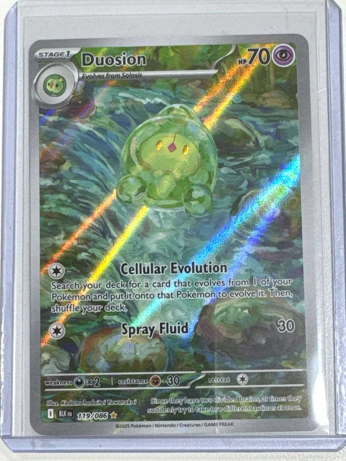 Pokemon TCG : Duosion (BLK 119)