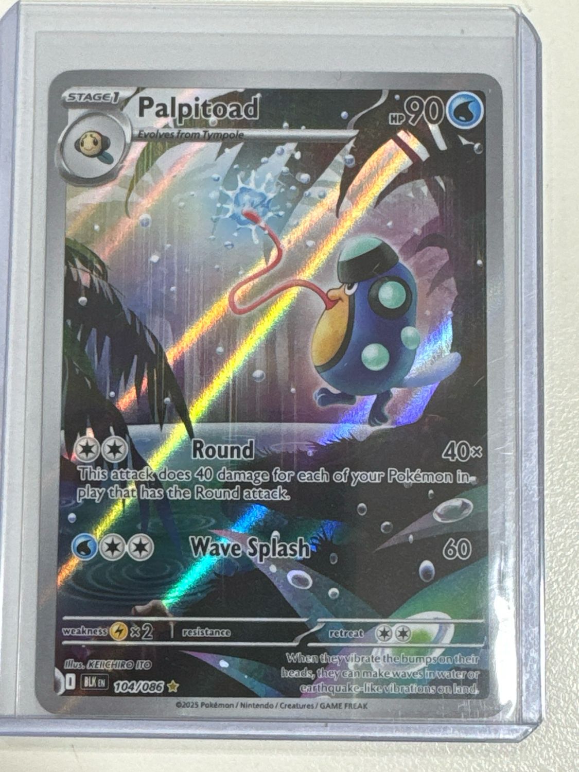 Pokemon TCG : Palpitoad (BLK 104)