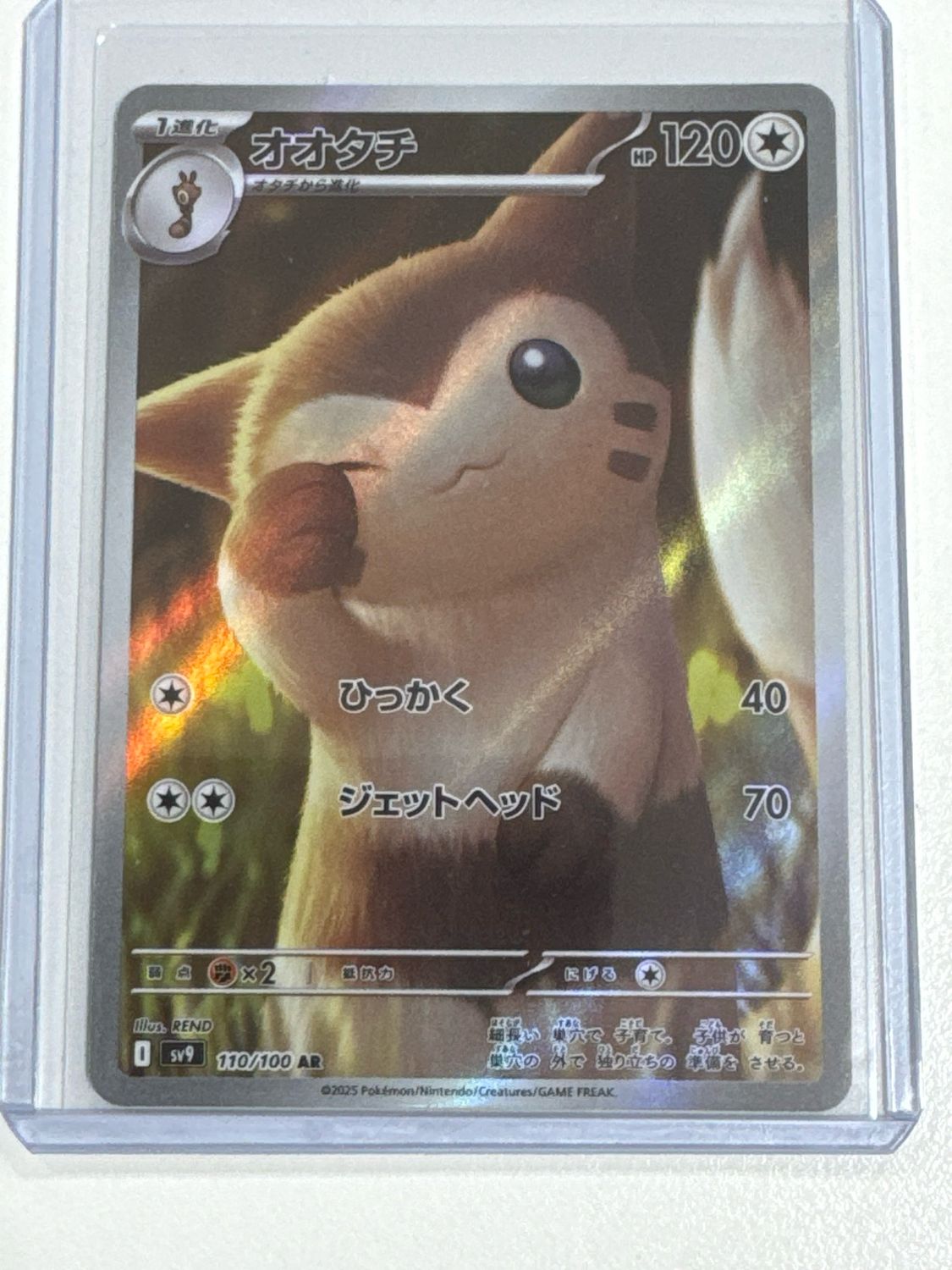 Pokemon TCG : Furret (sv9 110)