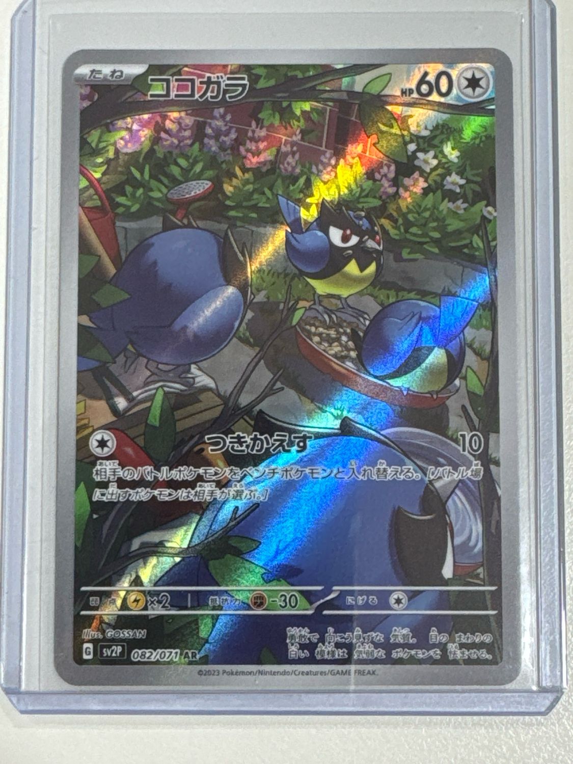Pokemon TCG : Rookidee (sv2P 082)