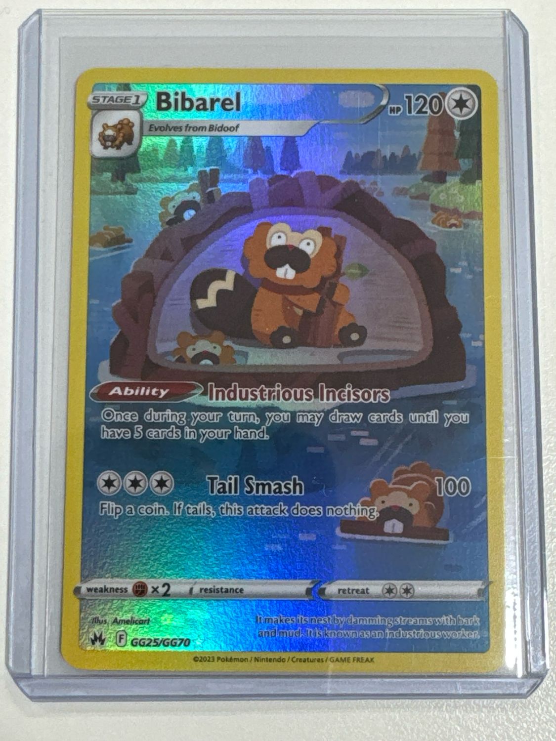 Pokemon TCG : Bibarel (CRZ GG25)