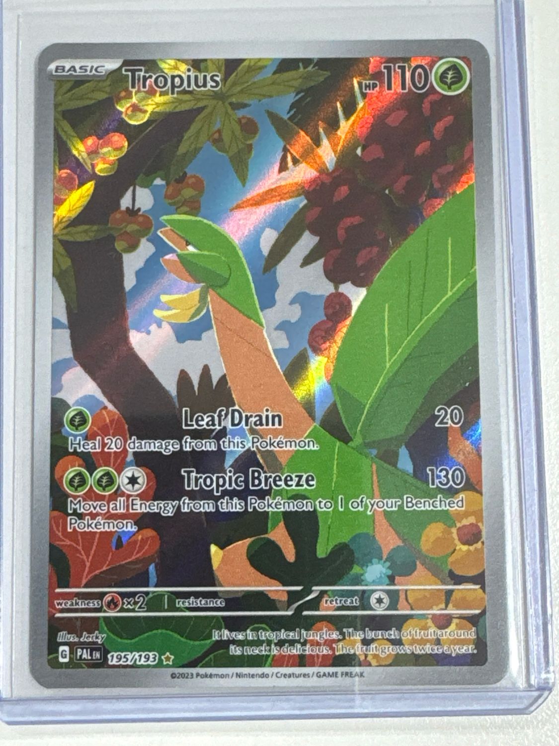 Pokemon TCG : Tropius (PAL 195)