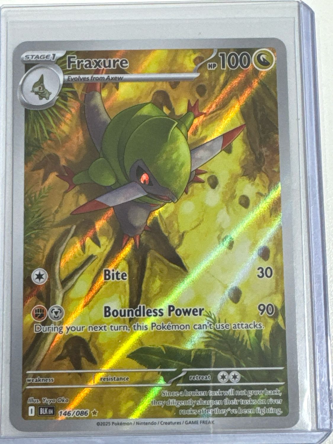 Pokemon TCG : Fraxure (BLK 146)