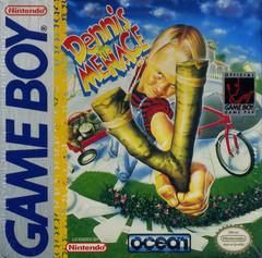 Dennis the Menace for Game Boy