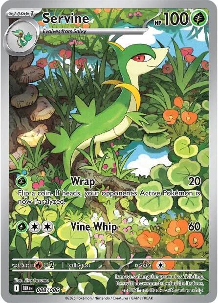 Servine Full Art Holo Black B olt 88/86