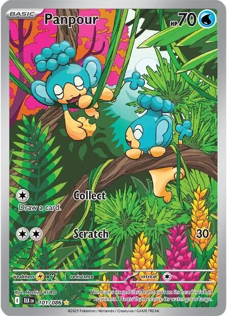 Panpour Full Art Holo Black Bolt 101/86