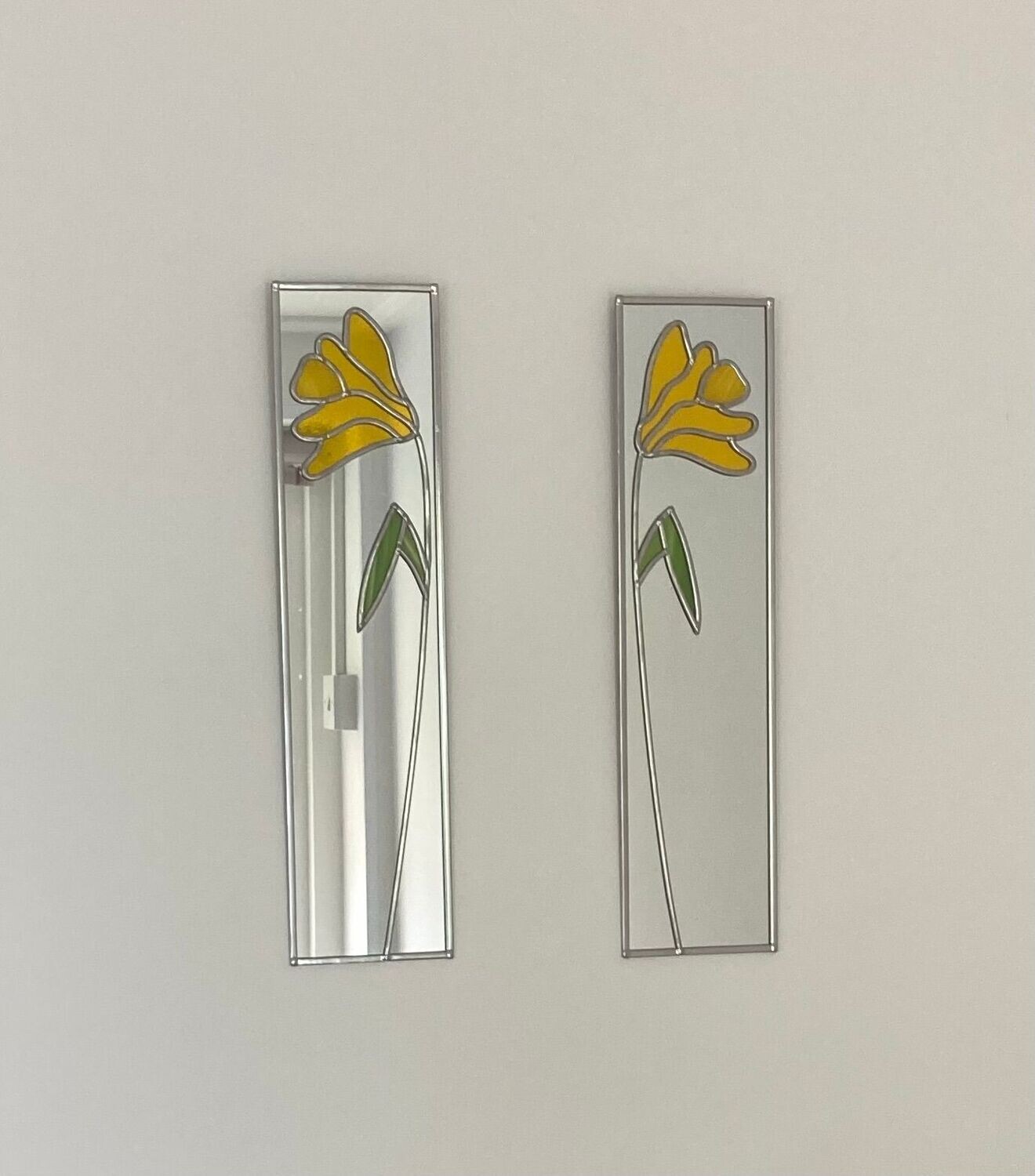 Daffodil  10x40cm pair