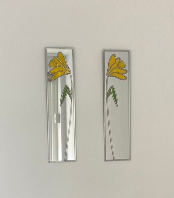 Daffodil 10x40cm pair