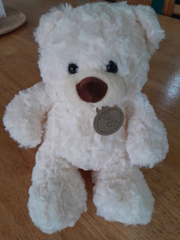 Teddy Bear