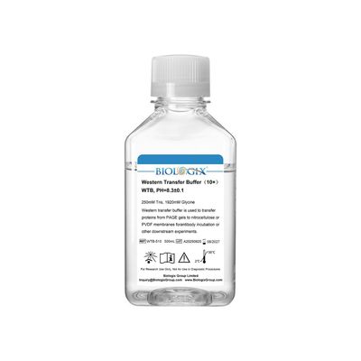 Biologix® Western Transfer Buffer ( 10X ), pH 8.3, 500mL/ Bottle